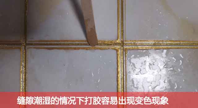 瓷磚不做美縫，導致黑邊效果